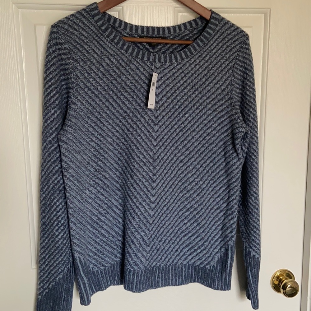 Banana Republic Blue Chevron Striped Sweater